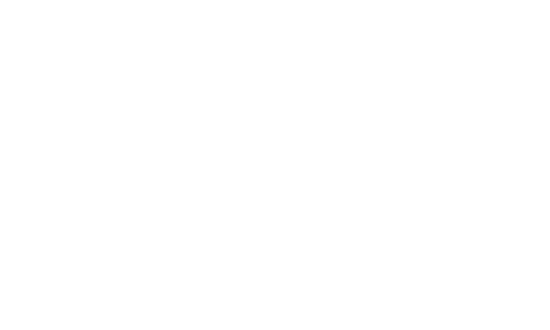 Bridgestone